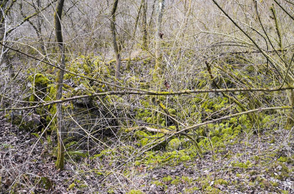 Ligne Maginot - G39 - RUMERSHEIM LE HAUT BERGE 3 - (Blockhaus pour arme infanterie) - Retranchement arrière pour les hommes de troupes - D. Froehly