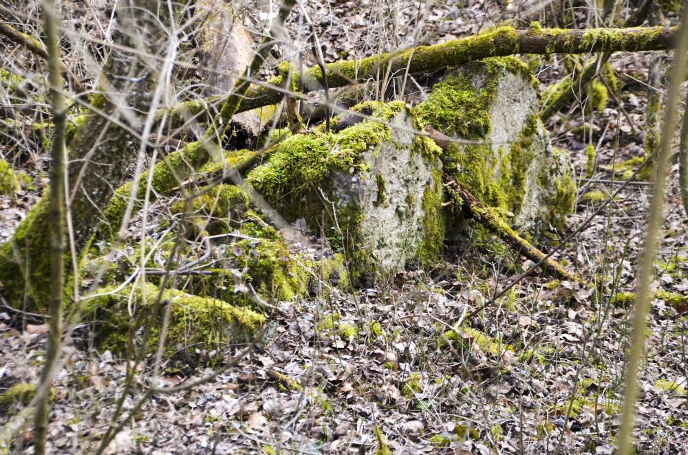 Ligne Maginot - G39 - RUMERSHEIM LE HAUT BERGE 3 - (Blockhaus pour arme infanterie) - Retranchement arrière pour les hommes de troupes - D. Froehly