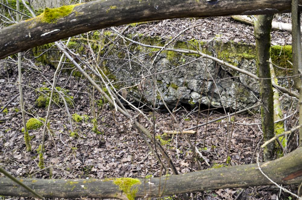 Ligne Maginot - G39 - RUMERSHEIM LE HAUT BERGE 3 - (Blockhaus pour arme infanterie) - Retranchement arrière pour les hommes de troupes - D. Froehly