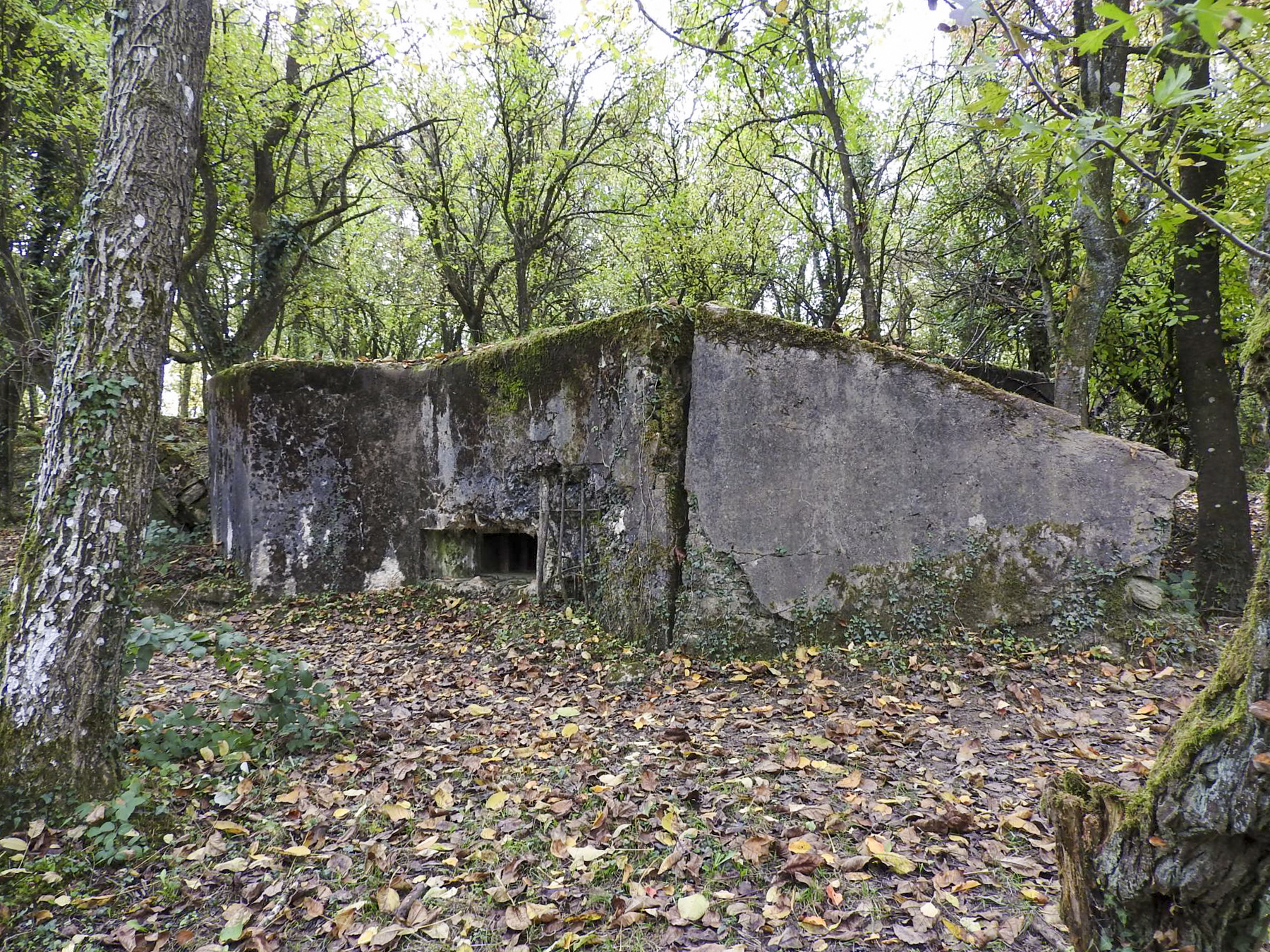 Ligne Maginot - WELSCHBRUCH NORD 1 - (Blockhaus pour arme infanterie) - La façade de tir - STENGER Mathieu