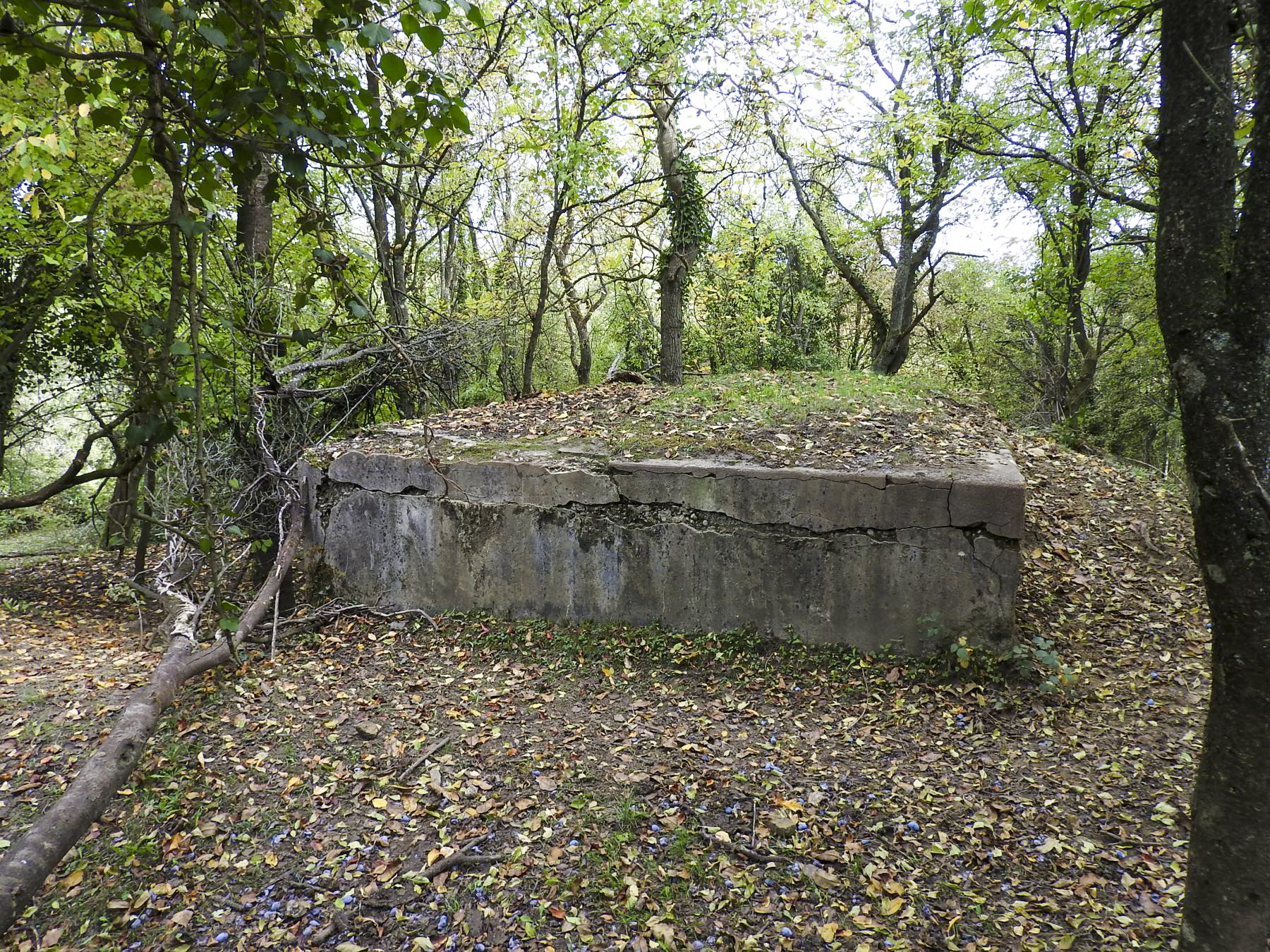 Ligne Maginot - WELSCHBRUCH NORD 1 - (Blockhaus pour arme infanterie) -  - STENGER Mathieu