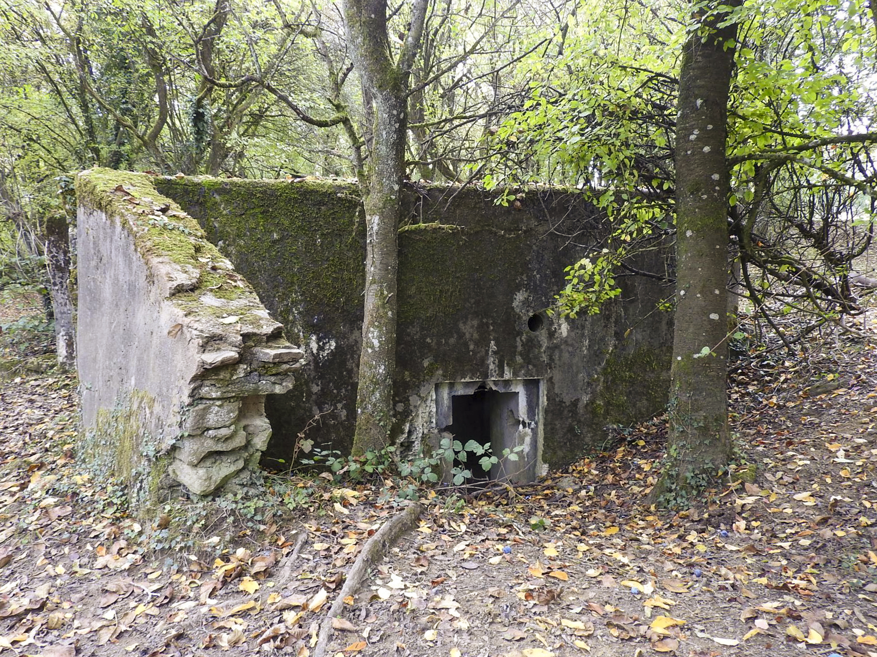 Ligne Maginot - WELSCHBRUCH NORD 1 - (Blockhaus pour arme infanterie) - L'entrée du blockhaus - STENGER Mathieu