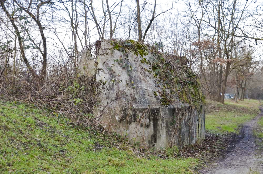 Ligne Maginot - G41 - RUMERSHEIM LE HAUT BERGE 1 - (Blockhaus pour arme infanterie) - Vue extérieure sud coté Rhin - D. Froehly