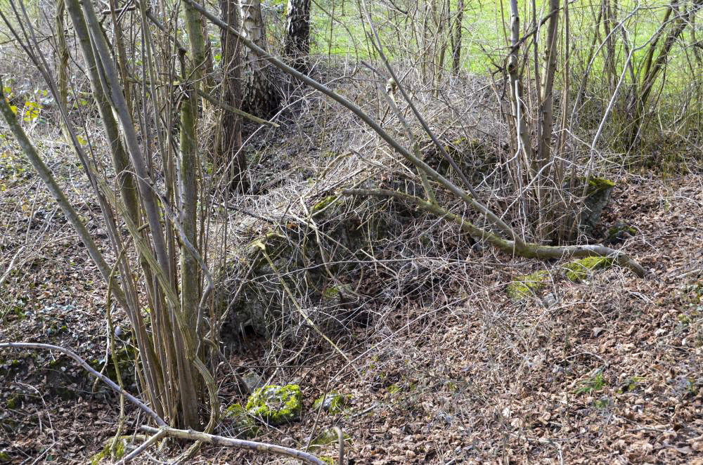 Ligne Maginot - G40 - RUMERSHEIM LE HAUT BERGE 2 - (Blockhaus pour arme infanterie) - Reste de l'abri voisin pour la troupe - D. Froehly