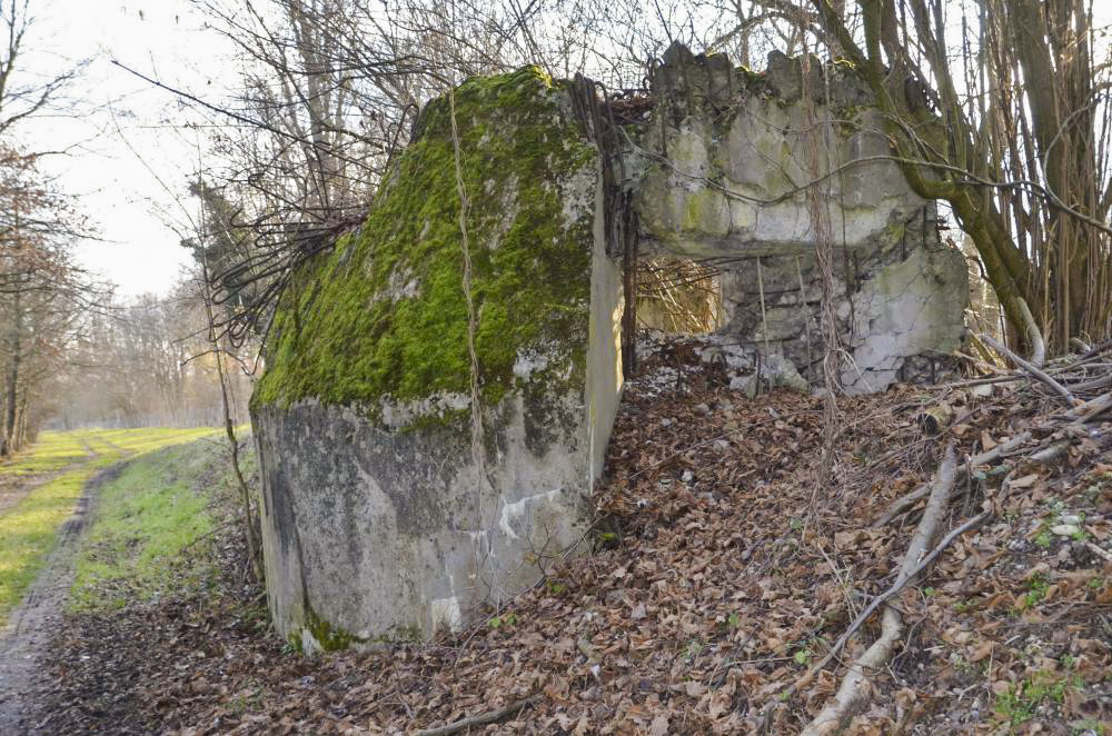 Ligne Maginot - G40 - RUMERSHEIM LE HAUT BERGE 2 - (Blockhaus pour arme infanterie) - Vue extérieure nord coté Rhin - D. Froehly
