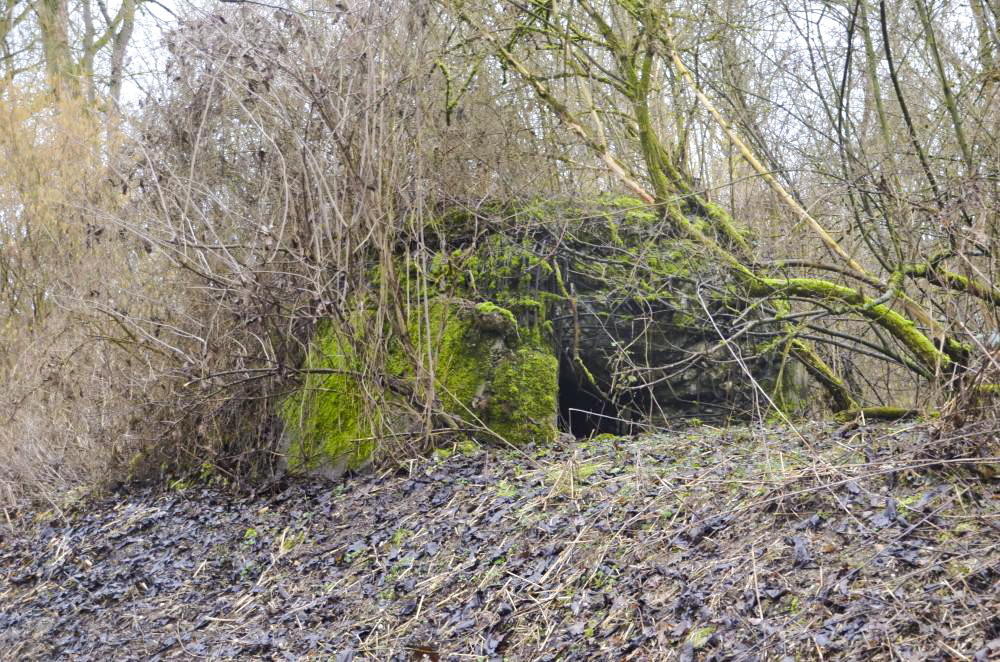 Ligne Maginot - G50 - HOMBOURG BERGE 1 - (Blockhaus pour arme infanterie) -  - D. Froehly