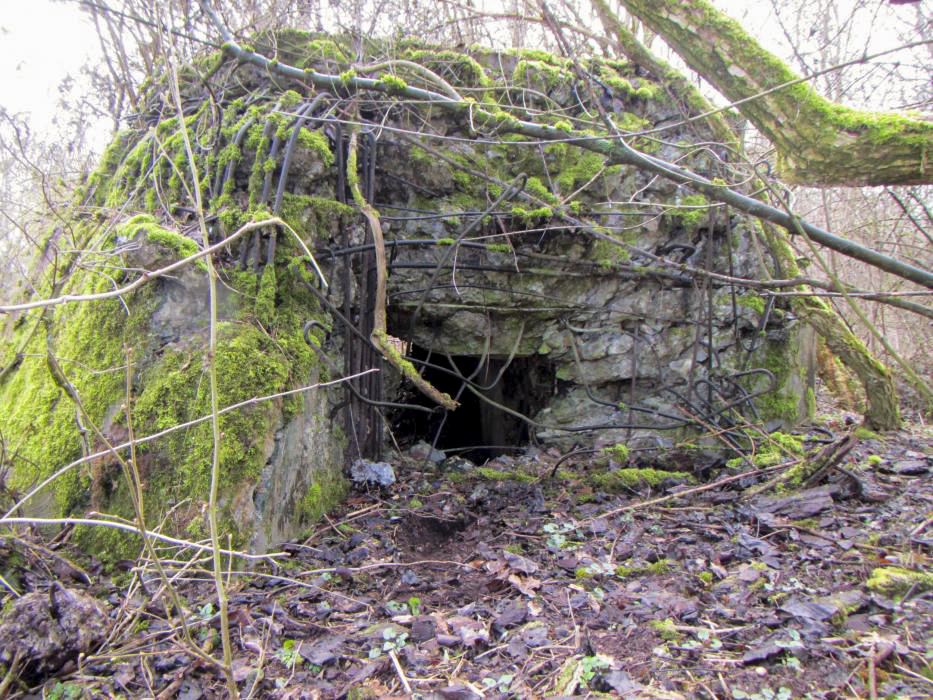 Ligne Maginot - G50 - HOMBOURG BERGE 1 - (Blockhaus pour arme infanterie) -  - J-F ALTHAUS - MMHA