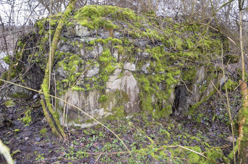 Ligne Maginot - G50 - HOMBOURG BERGE 1 - (Blockhaus pour arme infanterie) - Vue extérieure arrière sur l'entrée - D. Froehly