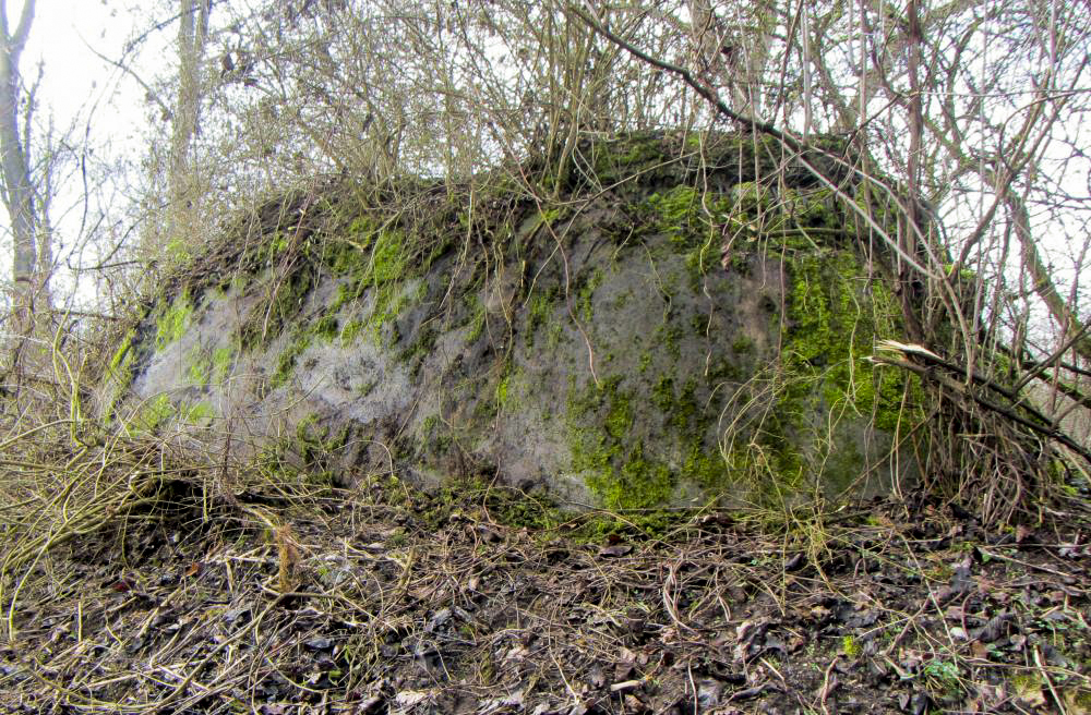 Ligne Maginot - G50 - HOMBOURG BERGE 1 - (Blockhaus pour arme infanterie) - Façade dégagée par mes soins pour la photo. C'était nécessaire vu son état remarquable dans un secteur où la plupart des blockhaus ont été dynamités par les allemands lors de l'hiver 1944-1945. - J-F ALTHAUS - MMHA