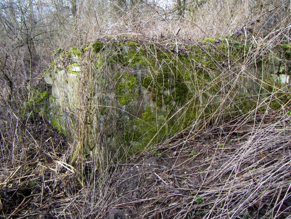 Ligne Maginot - G50 - HOMBOURG BERGE 1 - (Blockhaus pour arme infanterie) - A l'arrière immédiat de ce bloc de berge se trouve un abri pour le personnel. - J-F ALTHAUS - MMHA
