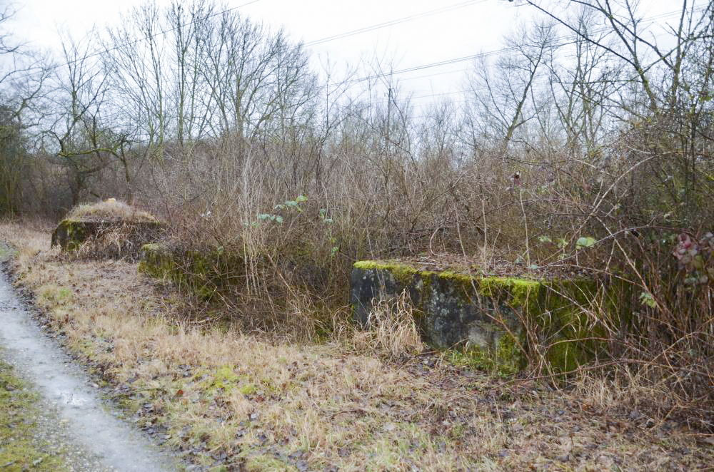 Ligne Maginot - G48 - OTTMARSHEIM - (Blockhaus pour arme infanterie) - Blocs de béton coté Rhin - D. Froehly