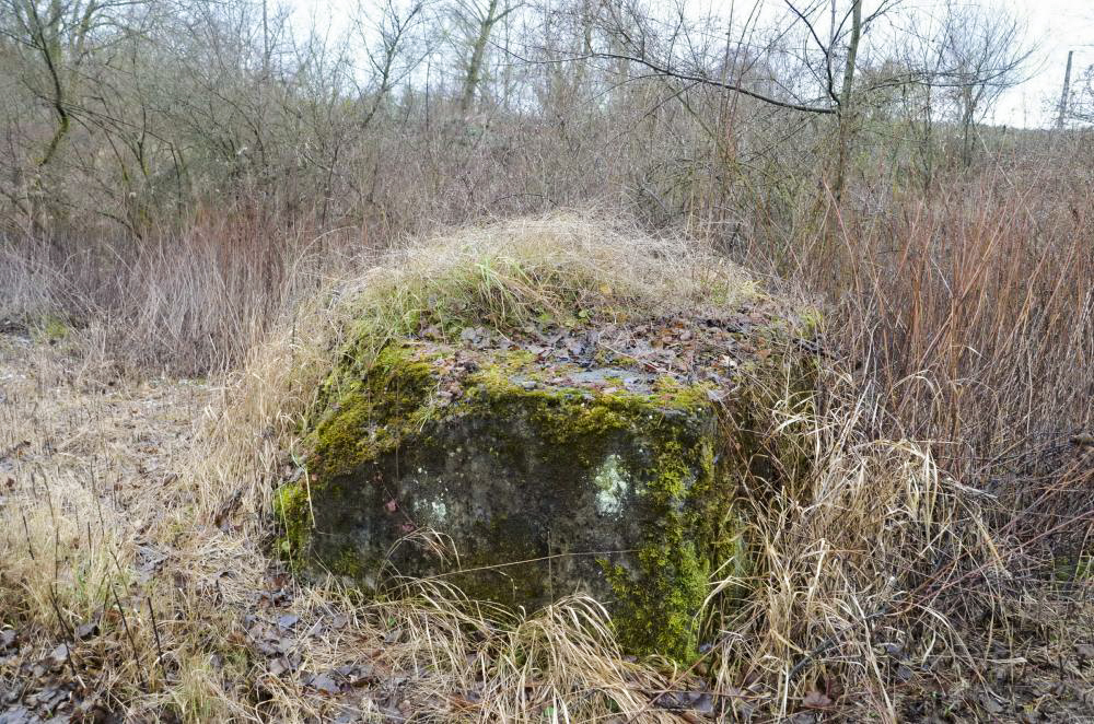 Ligne Maginot - G48 - OTTMARSHEIM - (Blockhaus pour arme infanterie) - Bloc de béton coté Rhin - D. Froehly