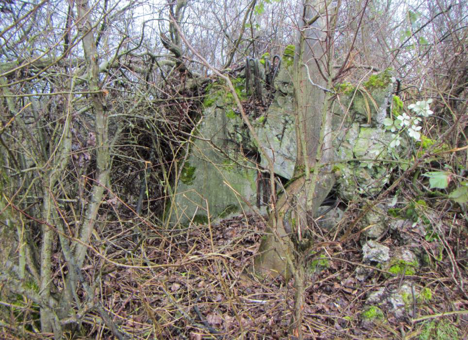 Ligne Maginot - G48 - OTTMARSHEIM - (Blockhaus pour arme infanterie) - Le bloc est quasi réduit à un amas de pierre. Les deux créneaux sont à peine visible. Vue de l'arrière, il ne ressemble plus à rien. - J-F ALTHAUS - MMHA