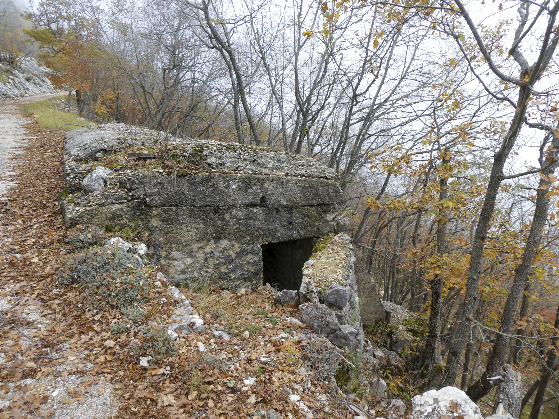 Ligne Maginot - MONT OURS EST - (Abri) -  - ELLENA - CUNY