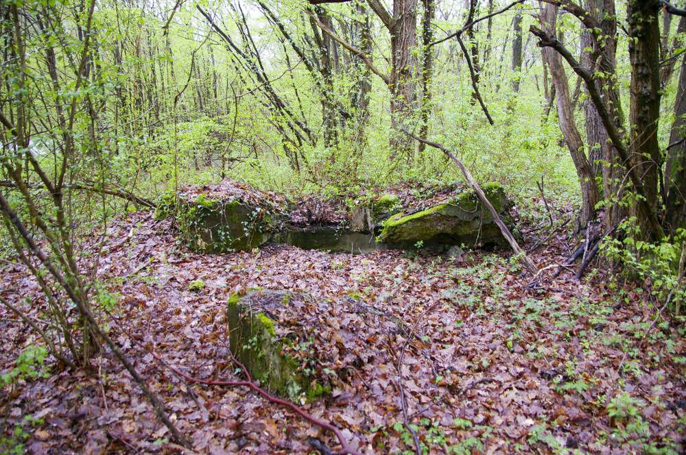 Ligne Maginot - GRUNHUTTE 2 - (Cuve pour arme d'infanterie) - Cuve pour TD, protégeant le carrefour de la route Bantzenheim et du chemin forestier - D.Froehly