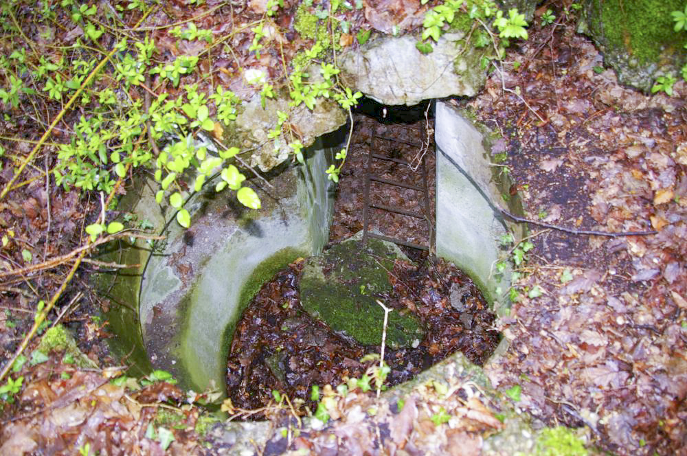Ligne Maginot - GRUNHUTTE 2 - (Cuve pour arme d'infanterie) - Vue du dessus - D.Froehly