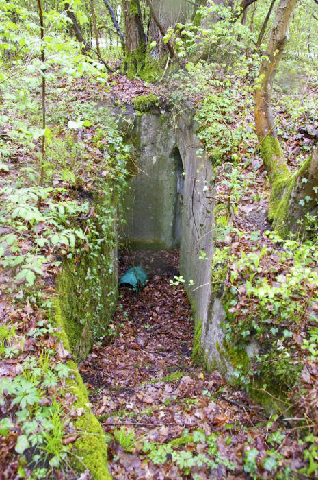Ligne Maginot - GRUNHUTTE 2 - (Cuve pour arme d'infanterie) - Entrée ouest - D.Froehly