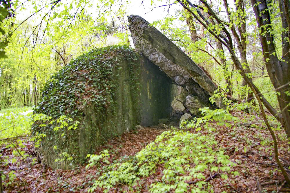 Ligne Maginot - GRUNHUTTE 1 - (Blockhaus pour canon) - Abri d'intervalle, dont il ne reste que le mur nord et une parti du toit - D.Froehly