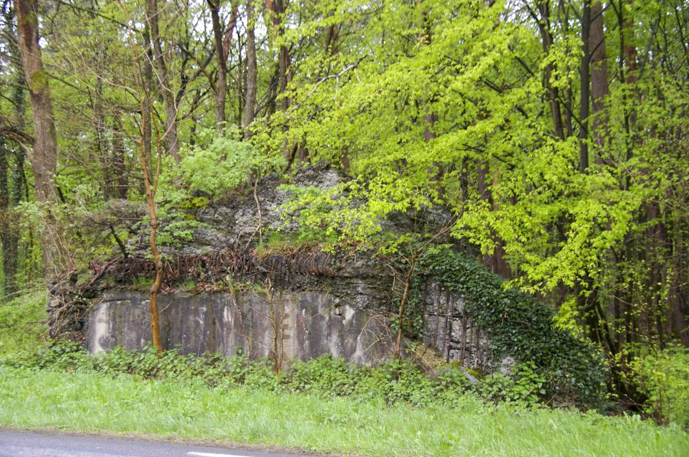 Ligne Maginot - GRUNHUTTE 1 - (Blockhaus pour canon) - Abri d'intervalle, dont il ne reste que le mur nord et une parti du toit - D.Froehly