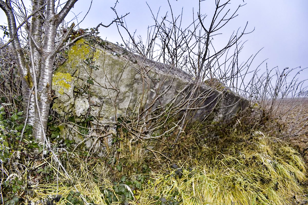Ligne Maginot - HARTACKER CENTRE - (Blockhaus de type indéterminé) -  - D. Froehly