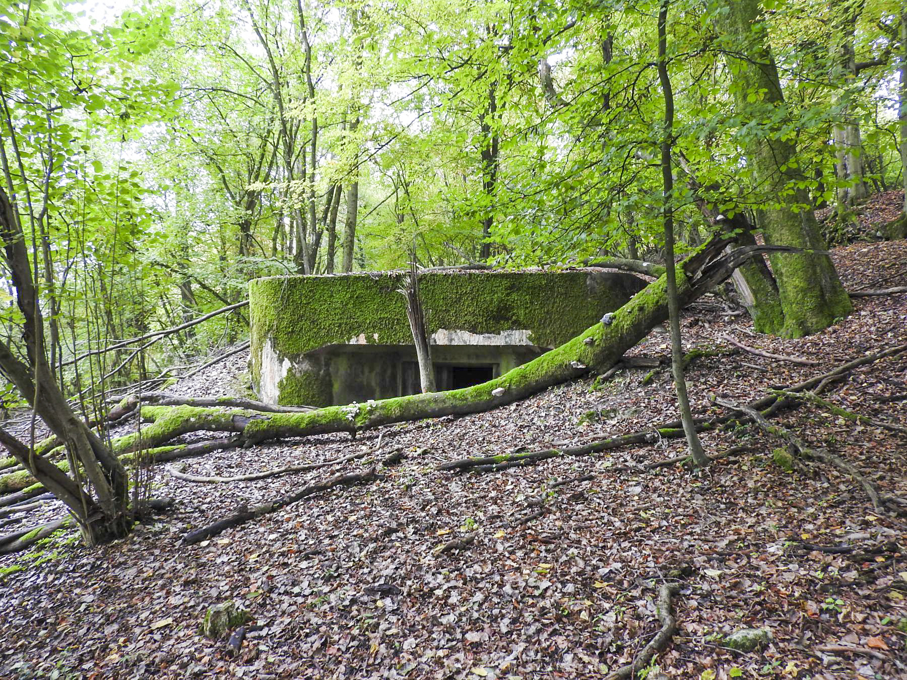 Ligne Maginot - BAUDSTUNDEN 1 - (Blockhaus pour canon) -  - STENGER Mathieu