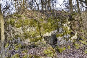 Ligne Maginot - G51 - ALTERGRUND - (Blockhaus pour arme infanterie) - Bloc Garchery
Façade arrière