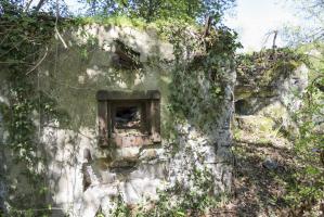 Ligne Maginot - 46/1 - LIMBOURG SUD - (Casemate d'infanterie - Double) - Façade Nord.
Les 2 créneaux