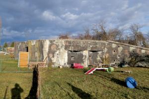 Ligne Maginot - 49/3 - BALGAU SUD - (Casemate d'infanterie - double) - Vue générale