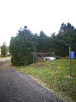 Ligne Maginot - W1 - (Chambre de coupure) - La chambre de coupure se trouvait juste derrière la haie. 
Elle a aujourd'hui disparu, ensevelie. Elle se trouve au bout d'un jardin, dans une propriété privée.
Photo faite avec l'autorisation de la propriétaire.