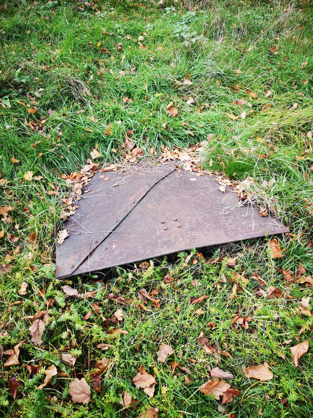 Ligne Maginot - BV2 - (Chambre de coupure) - La chambre de coupure disparaît petit à petit dans les herbes d'un pré. - DK-Antoine4