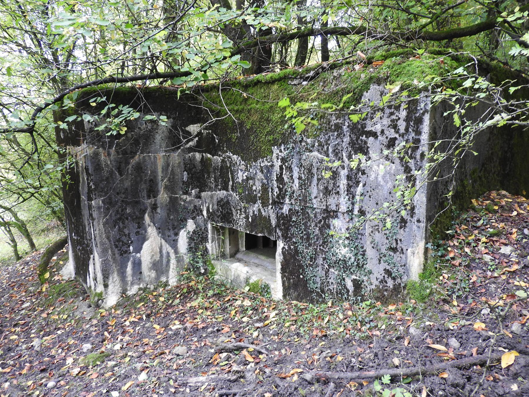 Ligne Maginot - BAUDSTUNDEN 2 - (Blockhaus pour arme infanterie) -  - STENGER Mathieu