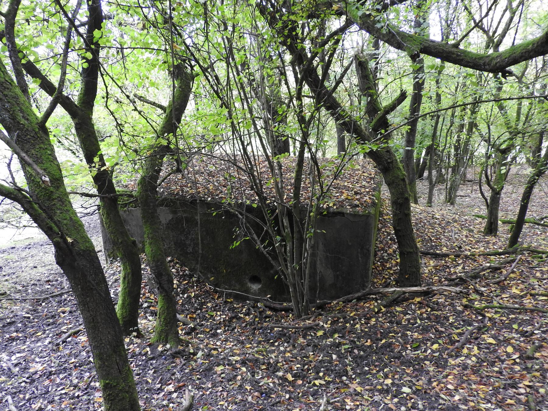 Ligne Maginot - BAUDSTUNDEN 2 - (Blockhaus pour arme infanterie) - L'entrée est remblayée - STENGER Mathieu