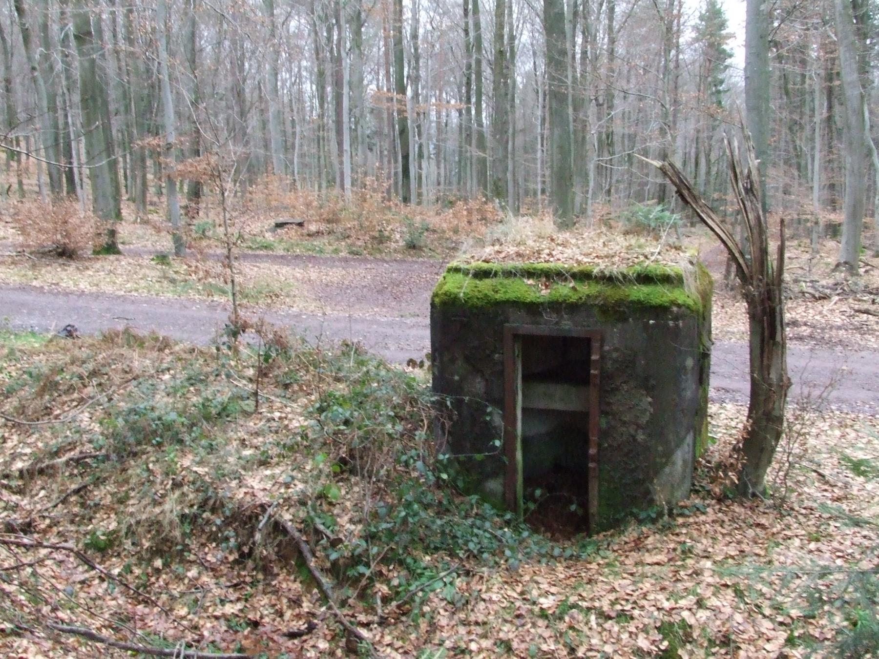 Ligne Maginot - SOULTZERKOPF 2 - (Blockhaus pour arme infanterie) - La chambre de coupure G4 à l'arrière plan - STENGER Mathieu