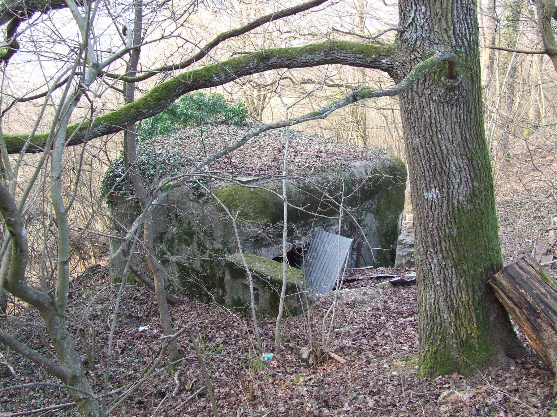 Ligne Maginot - WINGEN SUD 2 - (Blockhaus pour canon) - Le blockhaus vu de l'arrière - STENGER Mathieu