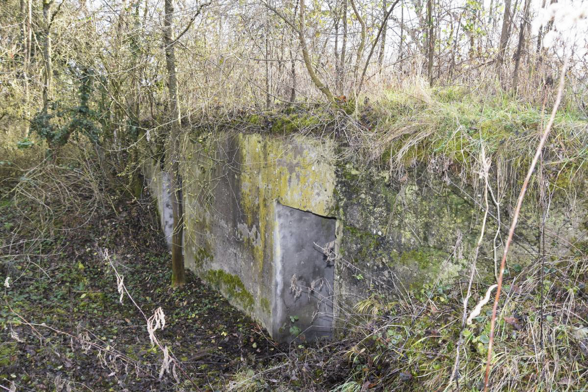 Ligne Maginot - OTTMARSHEIM 4 - (Abri) - Façade nord - Daniel Froehly
