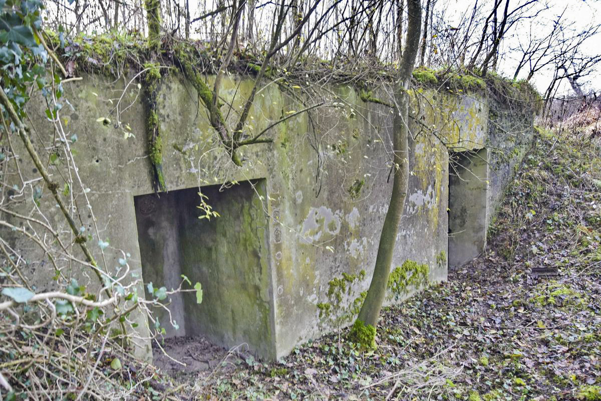 Ligne Maginot - OTTMARSHEIM 4 - (Abri) - Façade nord - Daniel Froehly