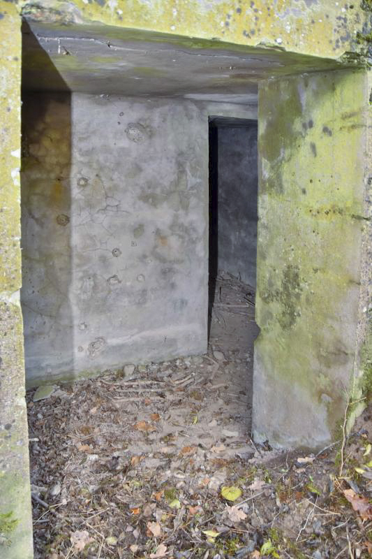 Ligne Maginot - OTTMARSHEIM 4 - (Abri) - Entrée ouest, vue de l'extérieur - Daniel Froehly