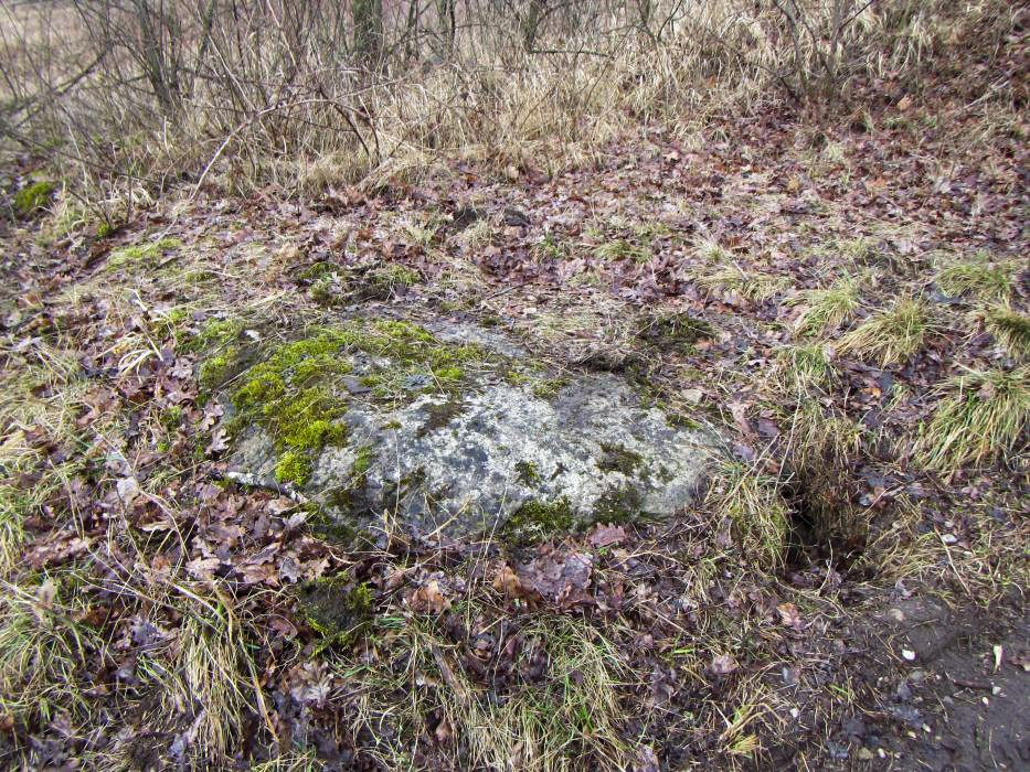 Ligne Maginot - OTTMARSHEIM - BERGE 2 - (Observatoire d'infanterie) - L'abri n'est pas détruit et enterré. Il est défilé. L'accès à l'arrière est remblayé. - J-F ALTHAUS - MMHA