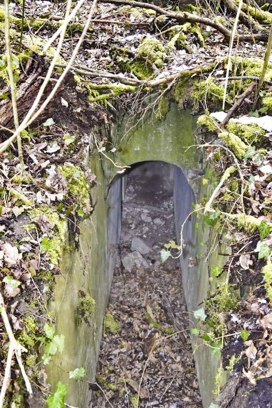 Ligne Maginot - OBERHARDTFELD 1 - (Blockhaus pour arme infanterie) - Entrée nord - D.Froehly