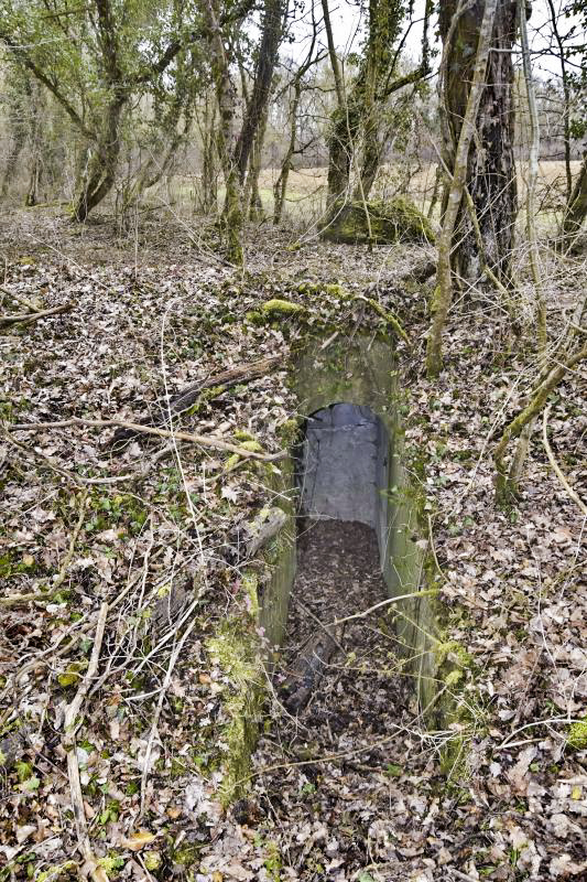 Ligne Maginot - OBERHARDTFELD 1 - (Blockhaus pour arme infanterie) - Entrée sud, vue de l’extérieur. - D.Froehly