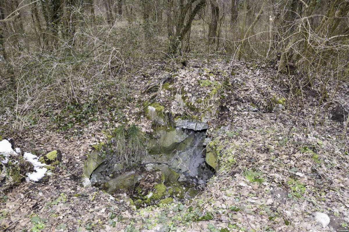 Ligne Maginot - OBERHARDTFELD 2 - (Blockhaus pour arme infanterie) - Coupole 7º RM - D.Froehly