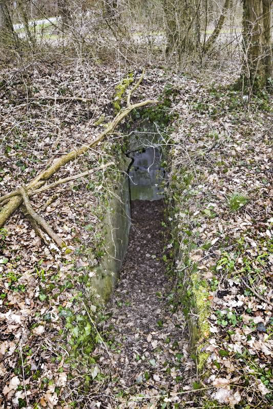 Ligne Maginot - OBERHARDTFELD 2 - (Blockhaus pour arme infanterie) - Entrée sud - D.Froehly