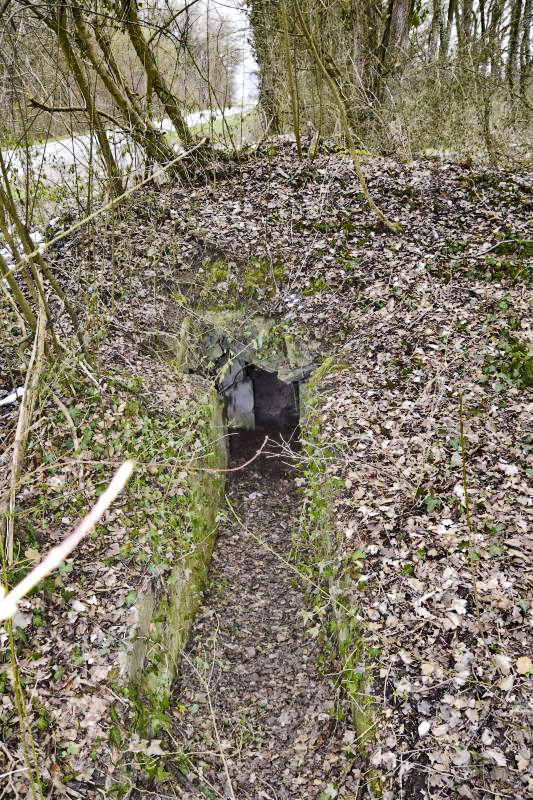 Ligne Maginot - OBERHARDTFELD 2 - (Blockhaus pour arme infanterie) - Entrée nord donnant accès directement à la coupole - D.Froehly