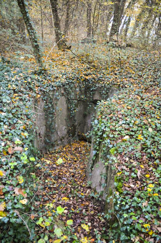 Ligne Maginot - OTTMARSHEIM SUD 2 - (Blockhaus pour arme infanterie) - Une des entrées - D. Froehly