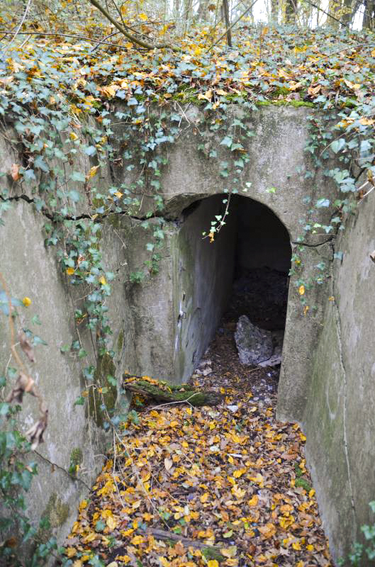 Ligne Maginot - OTTMARSHEIM SUD 2 - (Blockhaus pour arme infanterie) - Une des entrées - D. Froehly