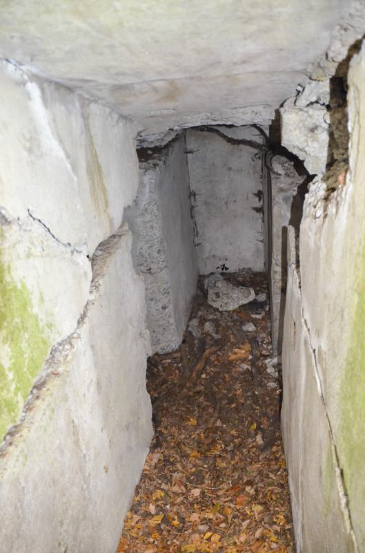 Ligne Maginot - OTTMARSHEIM SUD 2 - (Blockhaus pour arme infanterie) - Niche à munitions - D. Froehly