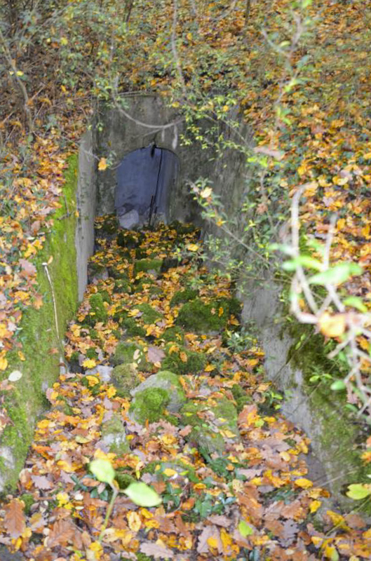 Ligne Maginot - OTTMARSHEIM SUD 2 - (Blockhaus pour arme infanterie) - Seconde entrée - D. Froehly