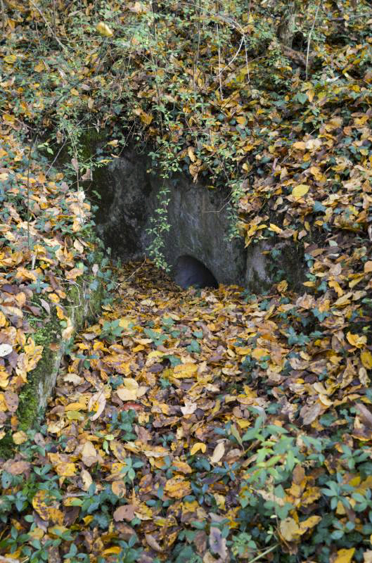 Ligne Maginot - OTTMARSHEIM SUD 3 - (Blockhaus pour arme infanterie) - Seconde entrée - D. Froehly