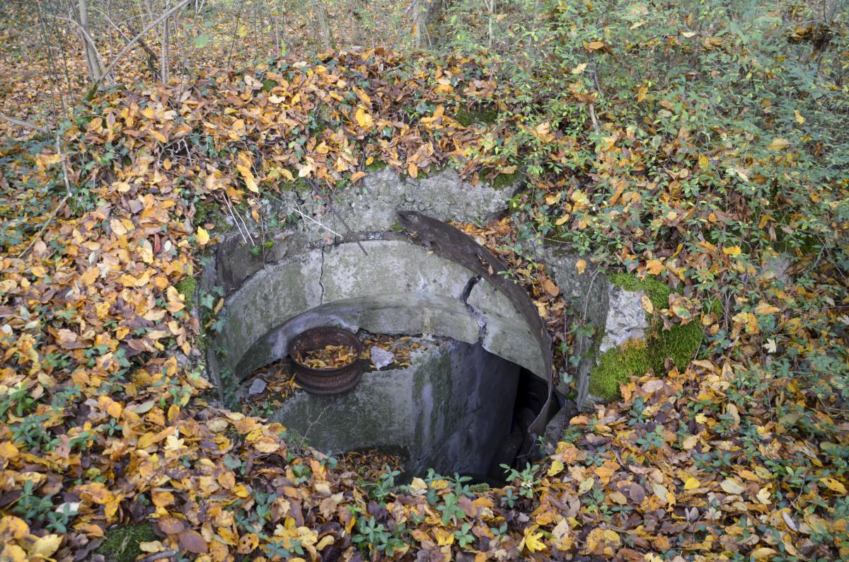 Ligne Maginot - OTTMARSHEIM SUD 3 - (Blockhaus pour arme infanterie) - Coupole - D. Froehly