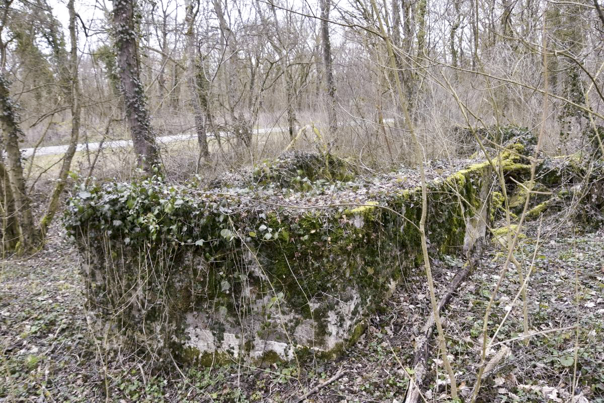 Ligne Maginot - RADBRUNNEN 2 - (Blockhaus pour canon) - Vue d'ensemble - D.Froehly